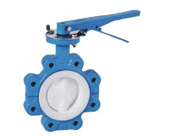 Ptfe Seated Butterfly Valve