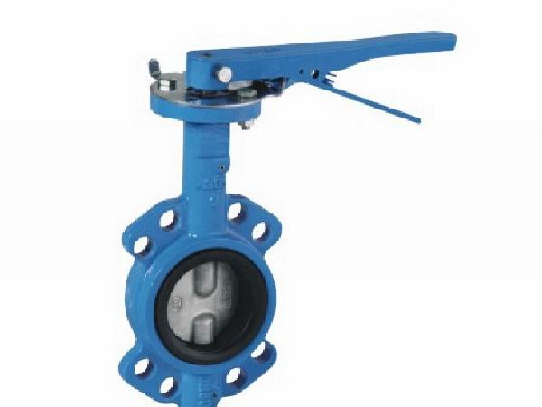 EN593 PN10PN16PN25Class 125Double Shaft Butterfly Valve