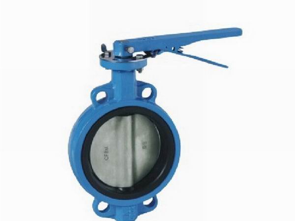 EN593 PN10PN16PN25Class 125Wafer Type Spling Butterfly Valve With PINS