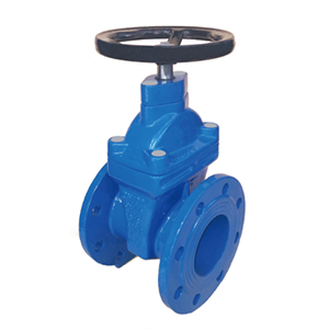 gate valve