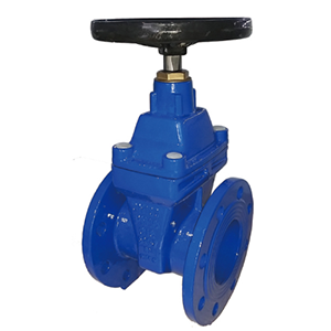 gate valve