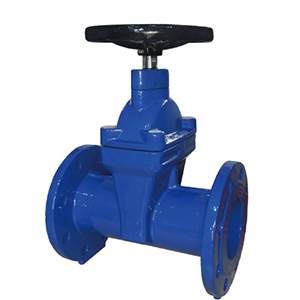 gate valve