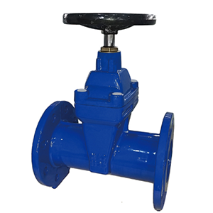 gate valve