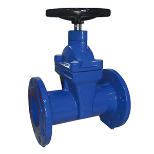 gate valve