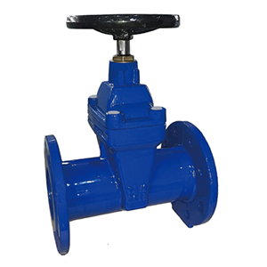 gate valve
