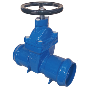 gate valve