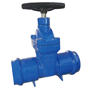 gate valve