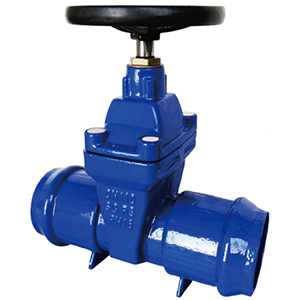 gate valve