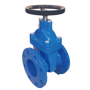 gate valve