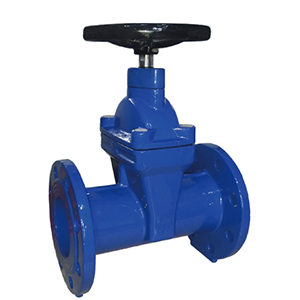gate valve