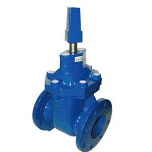gate valve