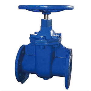 gate valve