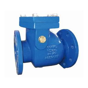 check valve