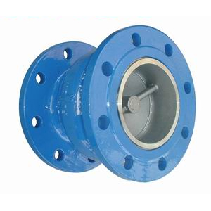 check valve