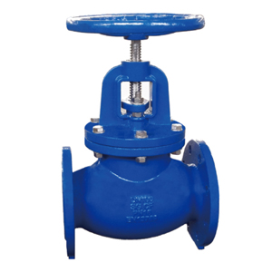 Globe Valve